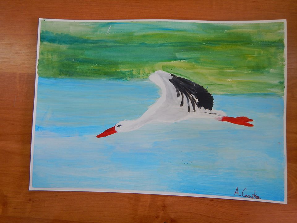 Bocian 2