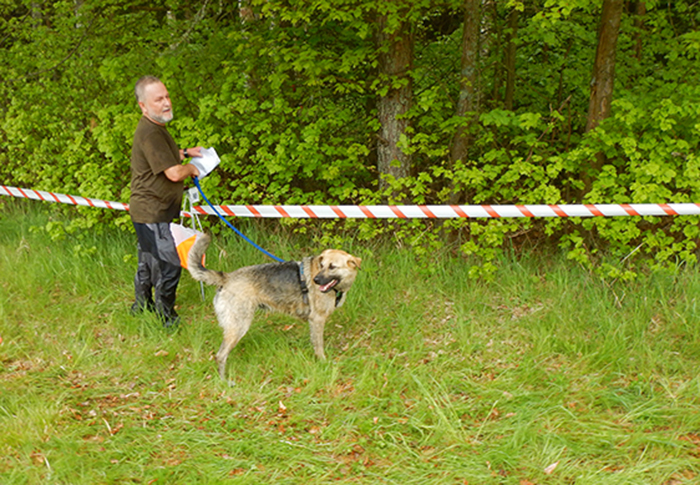 foto dogtrekking