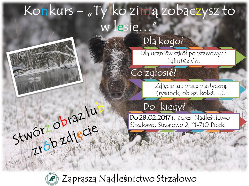 plakat.konkurs.zimowy 2017